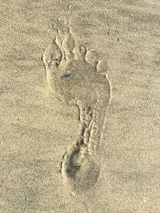Leave Only Footprints by Marilyn Marlow