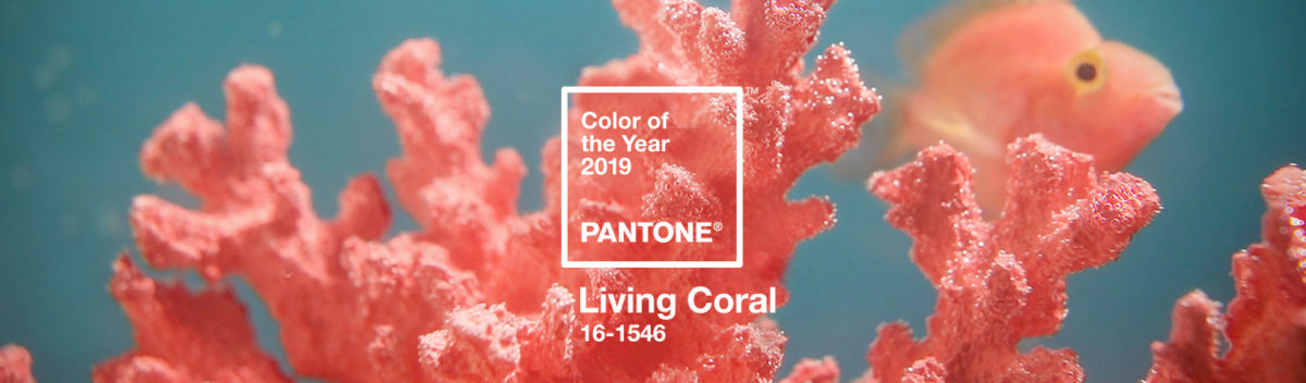 2019 Color of the Year for Designers is “Living Coral”