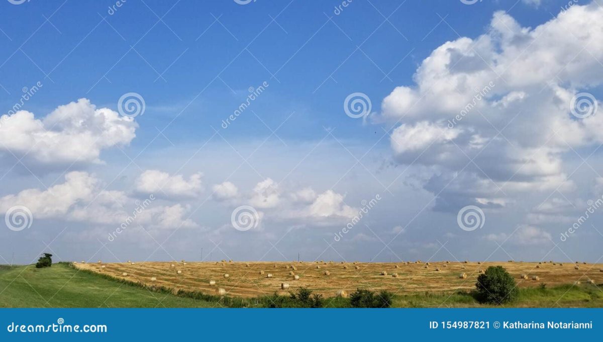 Attention Self-Published Authors:  Source High Quality Stock Photos from Dreamstime